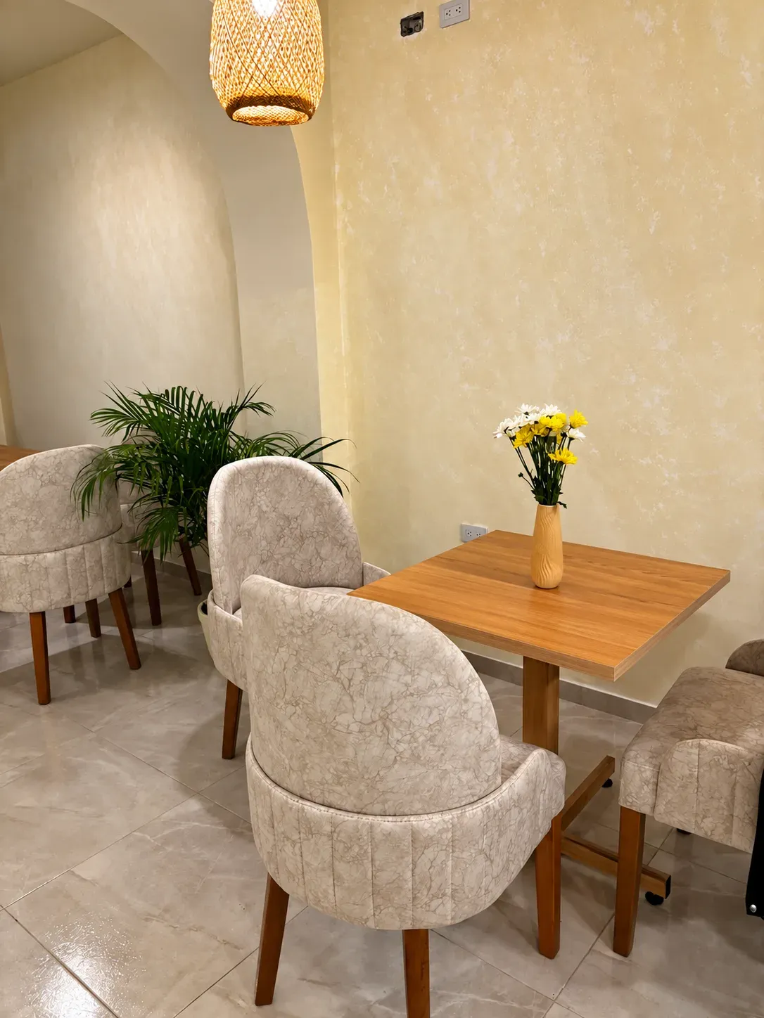 Rincón del salón con palma, mesa y sillas tapizadas